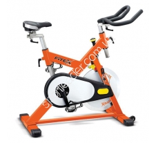 Велотренажер Fitex SB301M купить в интернет магазине СпортЛидер
