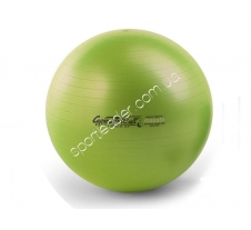 Мяч Ledragomma Gymnastik Ball Maxafe 20.7556AG купить в интернет магазине СпортЛидер