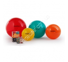 Мяч Ledragomma Gymnastik Ball Standard 20.6556SI купить в интернет магазине СпортЛидер