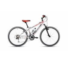 Велосипед Bottecchia 24 MTB 18 S Boy 50022457 купить в интернет магазине СпортЛидер
