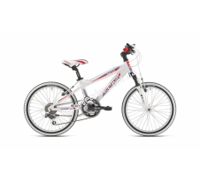 Велосипед Bottecchia 20 MTB Alu 18S Boy 35002051 купить в интернет магазине СпортЛидер