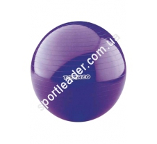 Гимнастический мяч Torneo A-209 купить в интернет магазине СпортЛидер