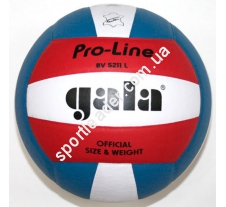 Мяч волейбольный Gala Pro-Line BV5211LAE купить в интернет магазине СпортЛидер