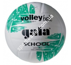 Мяч волейбольный Gala School BV5031LBE купить в интернет магазине СпортЛидер