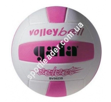 Мяч волейбольный Gala Velvet 7BV5023SD1 купить в интернет магазине СпортЛидер